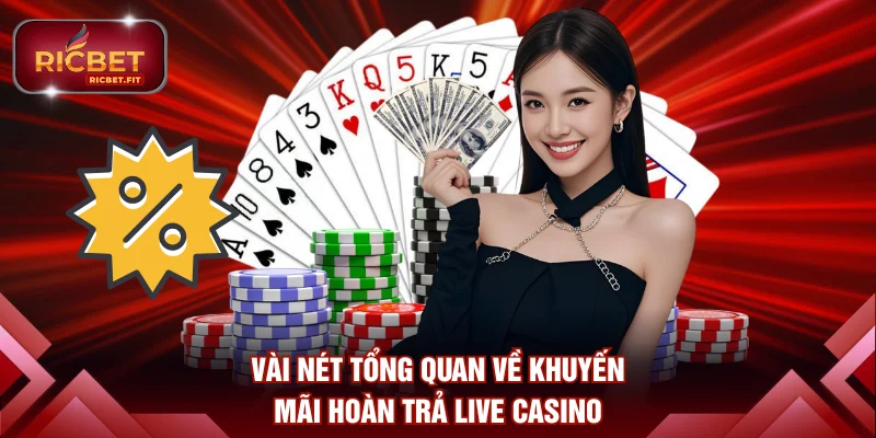 Vài nét tổng quan cần biết về khuyến mãi hoàn trả live casino